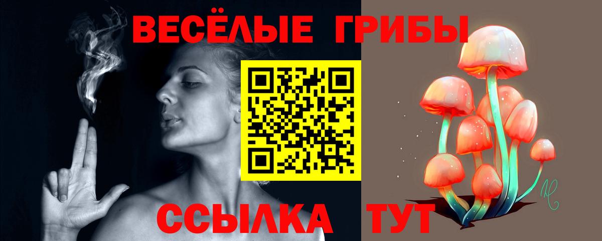 Псилоцибиновые грибы MAGIC MUSHROOMS  Вход с VPN  Гатчина 